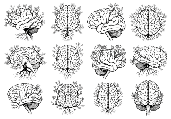 Brain Tree Floral Line Art Clipart