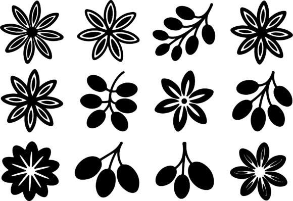 Floral Star and Berry Branch Vector